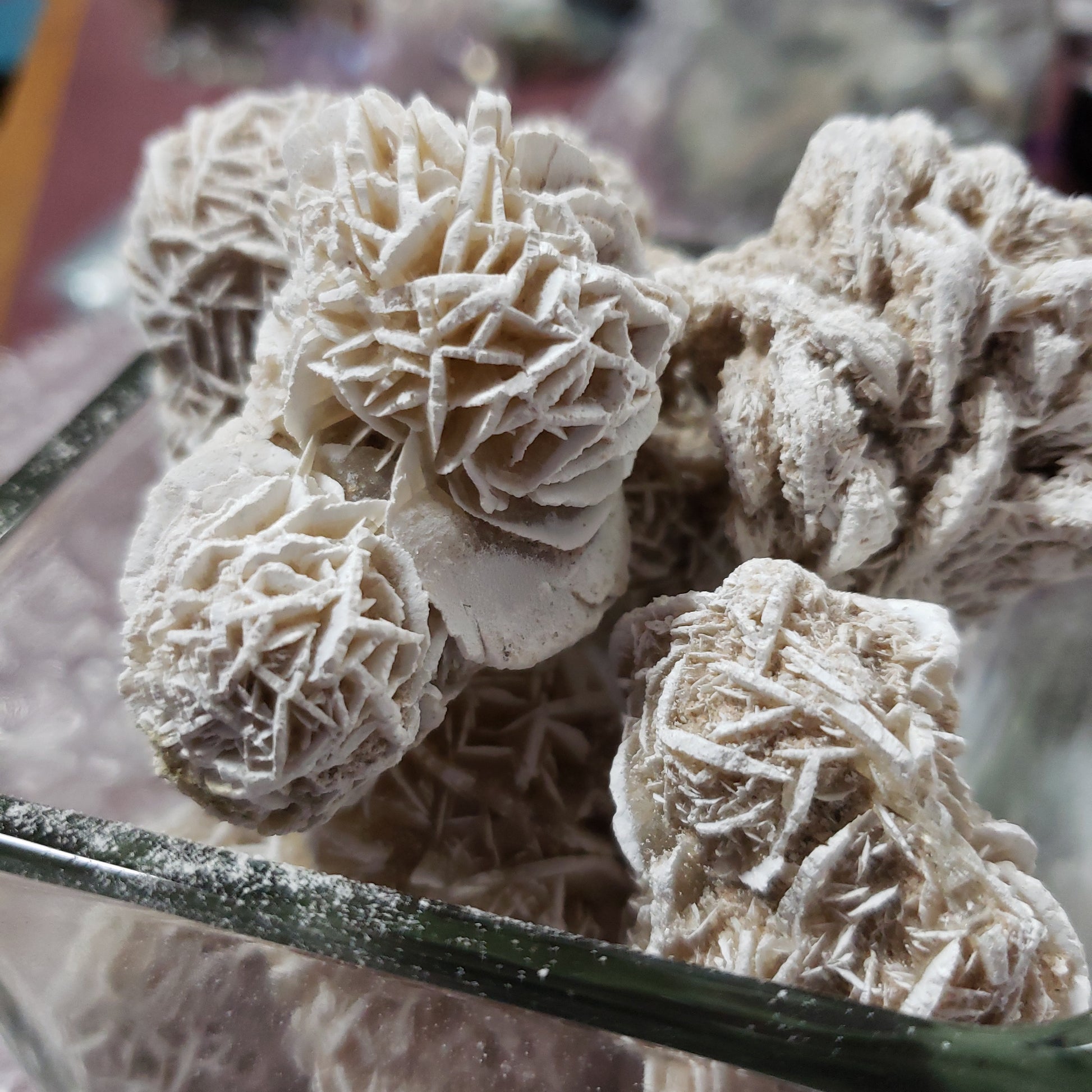 Desert Rose Clusters 1- 2 – The Rock Store