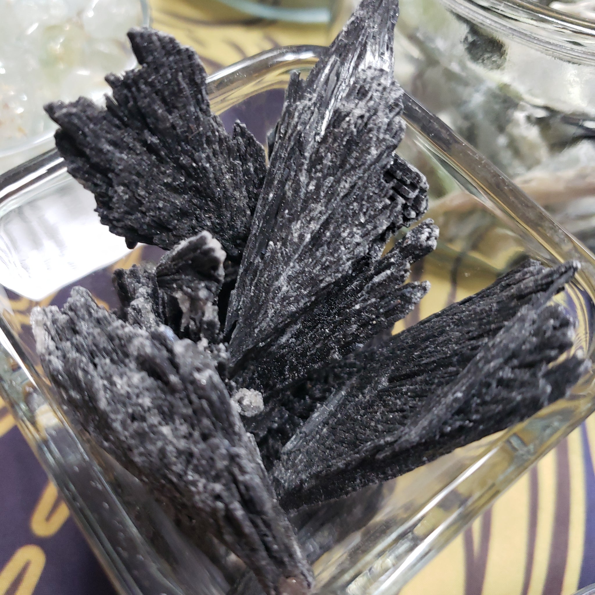 Kyanite, Black - Raw - Tree Of Life Shoppe