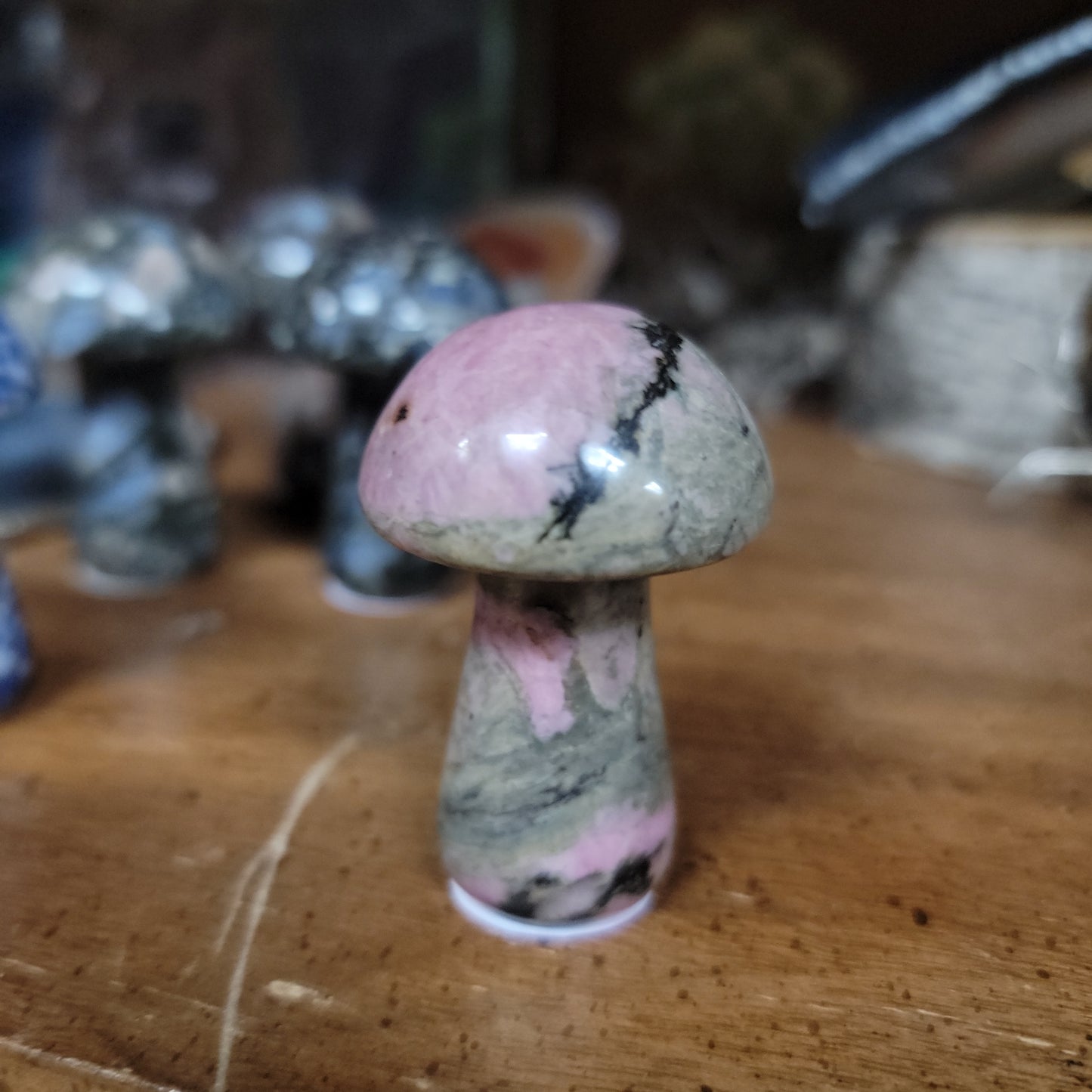 Gemstone Mushrooms - 2”