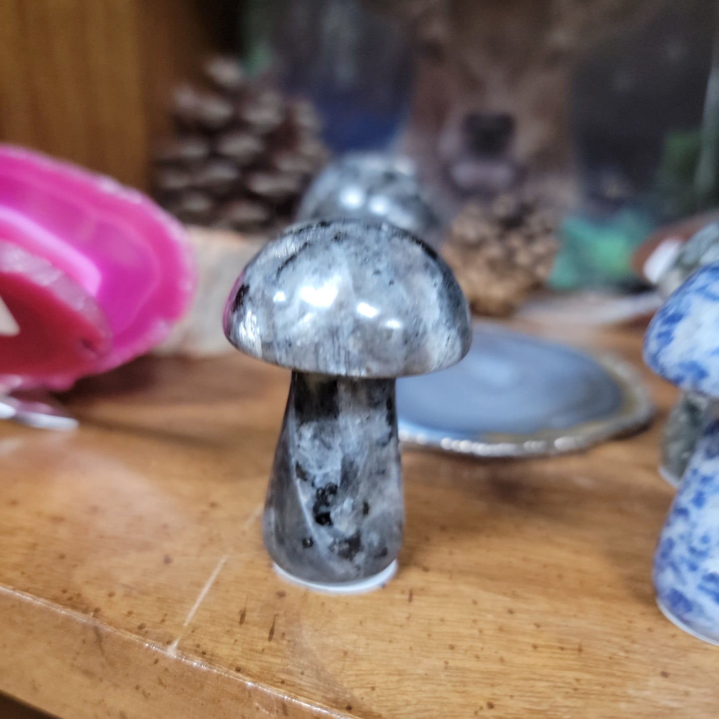 Gemstone Mushrooms - 2”