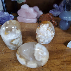 Beautiful Flower Agate Polished Free Forms