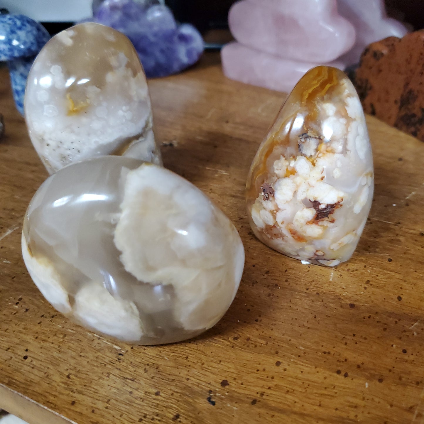 Beautiful Flower Agate Polished Free Forms