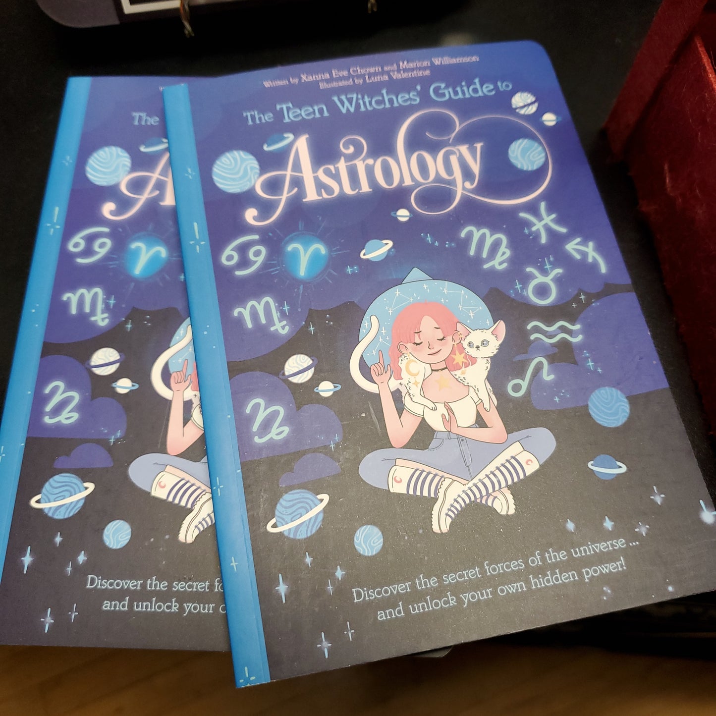 The Teen Witches' Guide to Astrology