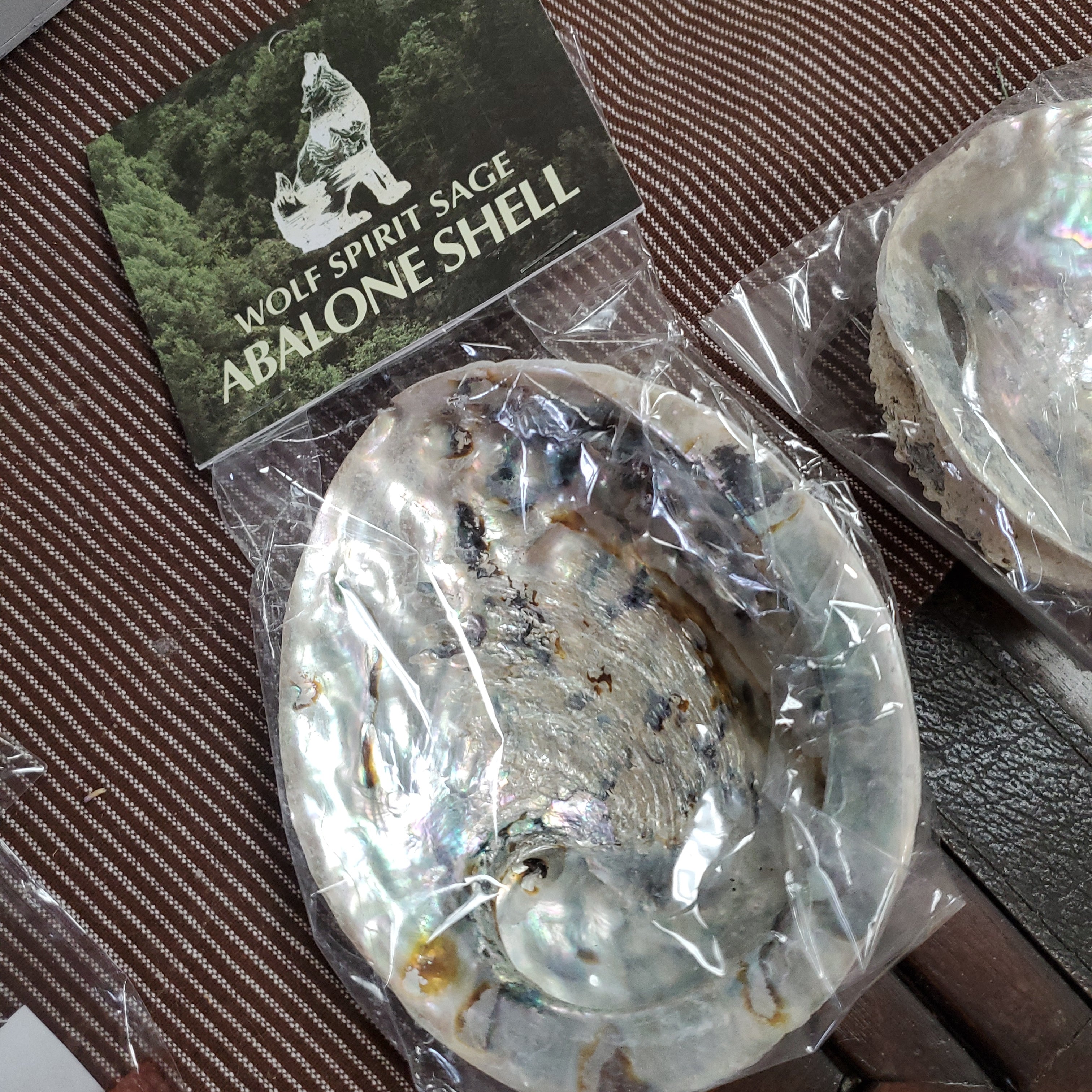 Abalone Shell 5