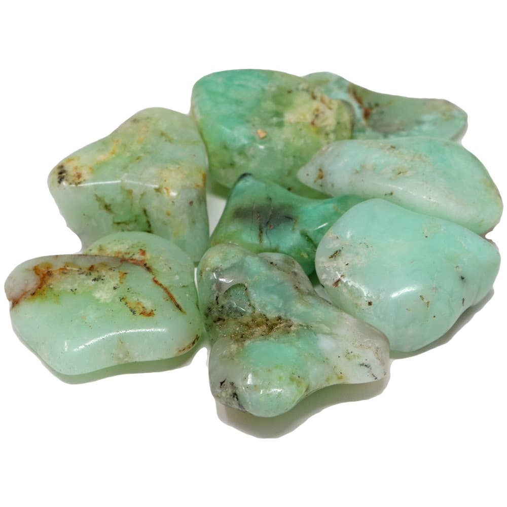 Chrysoprase - Tumbled - Tree Of Life Shoppe