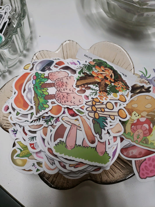 Mushroom Mystic Stickers