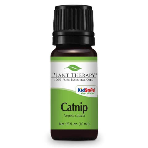 Catnip Essential Oil 10 ml - Tree Of Life Shoppe