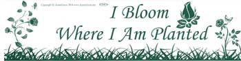 I Bloom Where I Am Planted, bumper sticker - Tree Of Life Shoppe