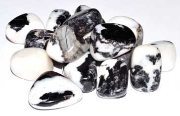Jasper, Zebra - Tumbled - Tree Of Life Shoppe