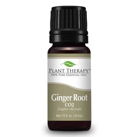 Ginger Root Essential Oil 10ml - Tree Of Life Shoppe