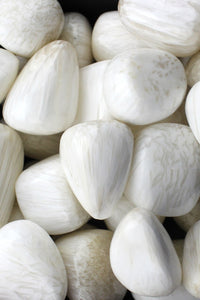 Scolecite -Tumbled - Tree Of Life Shoppe