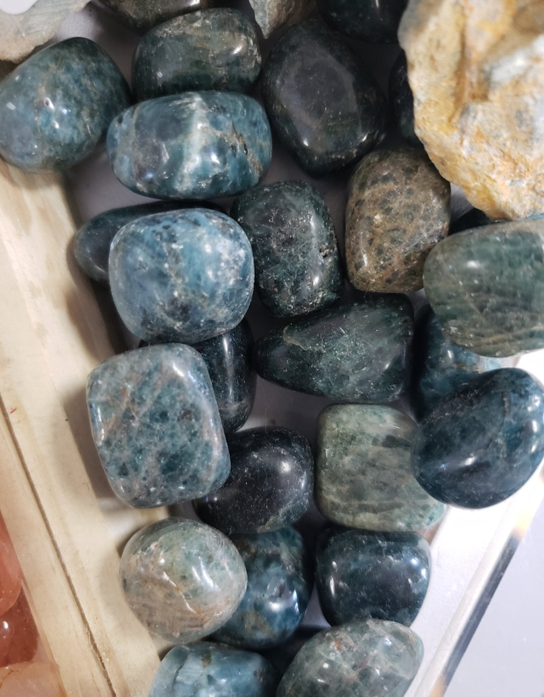 Apatite, Blue - Tumbled - Tree Of Life Shoppe