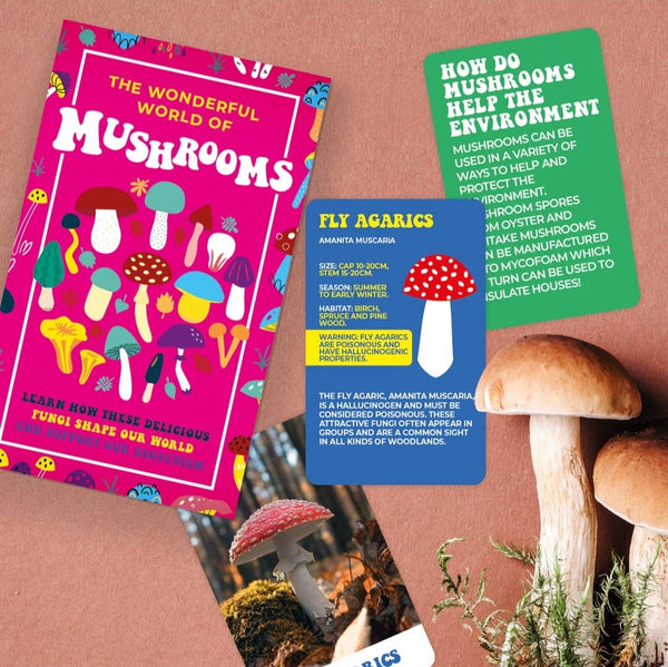 Wonderful World of Mushroom Card Deck