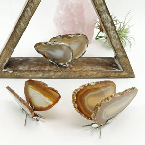 Butterfly Crystal Agate Art - Natural