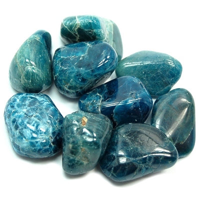 Apatite, Blue - Tumbled - Tree Of Life Shoppe