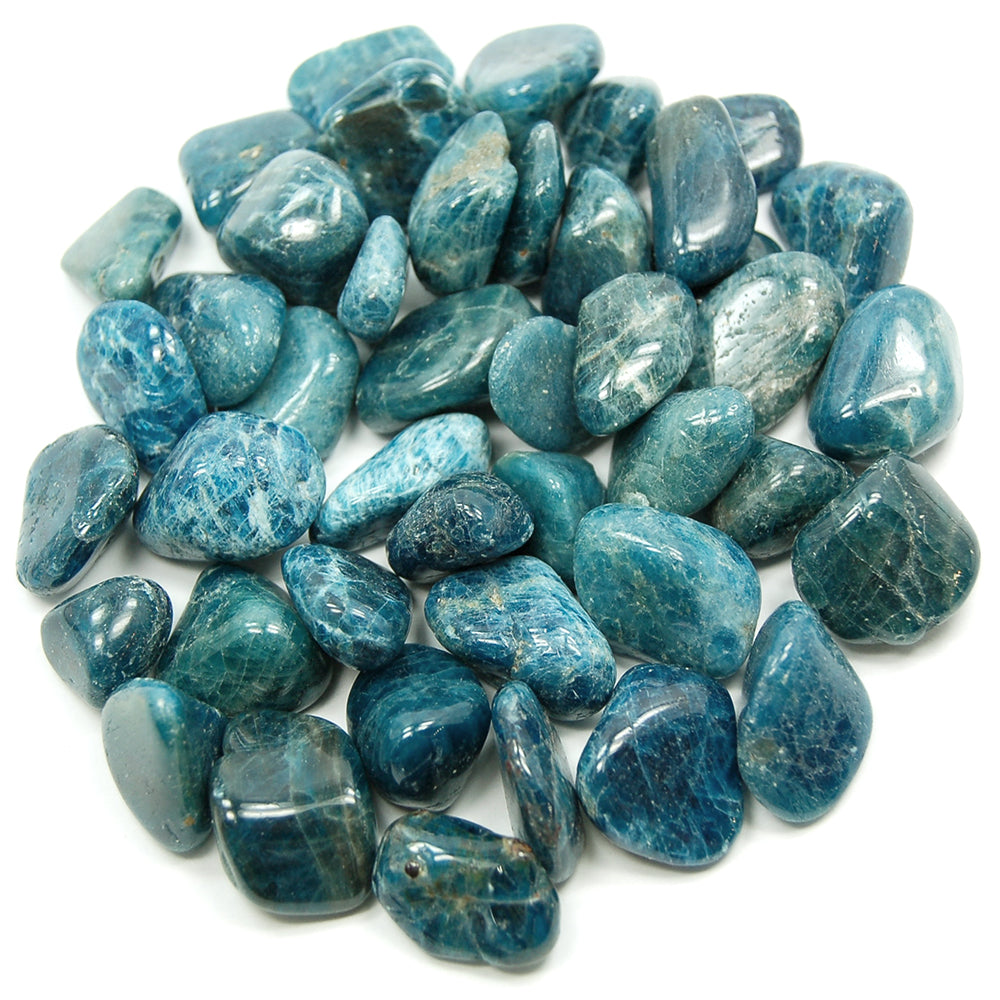 Apatite, Blue - Tumbled - Tree Of Life Shoppe