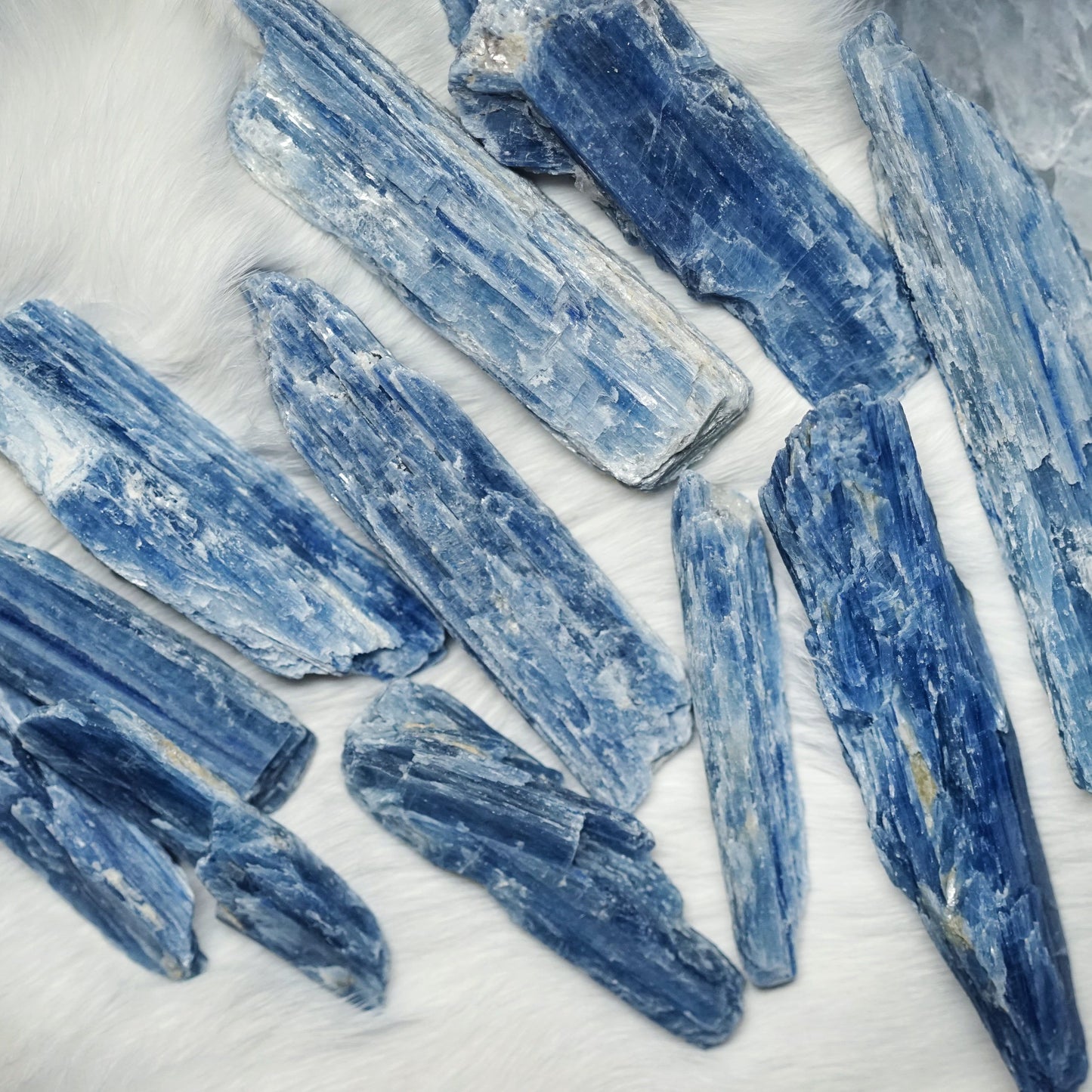 Kyanite, Light Blue - Shards Raw - Tree Of Life Shoppe