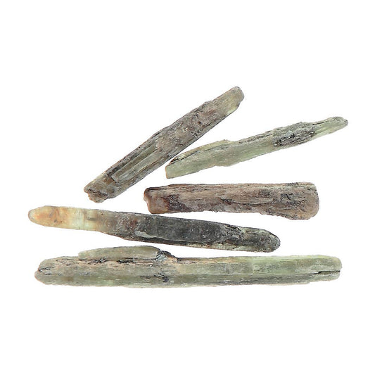 Kyanite, Green - Raw (Blades) - Tree Of Life Shoppe