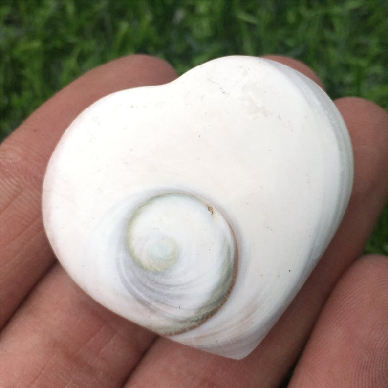Natural Conch Shell Heart