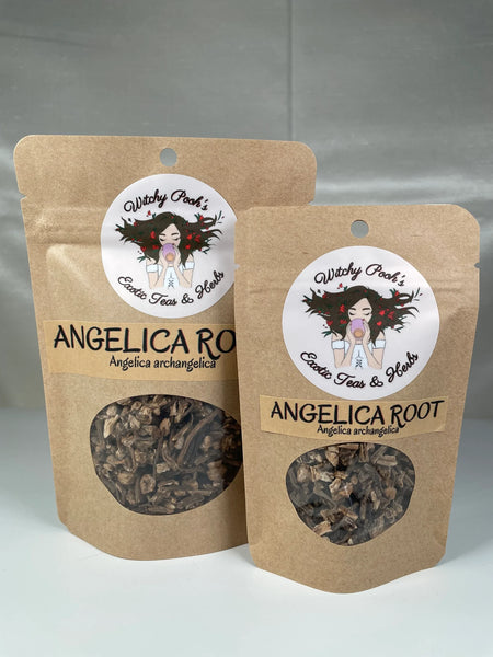 Angelica Root - Herb