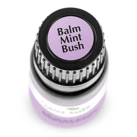 Balm Mint Bush Essential Oil 10ml - Tree Of Life Shoppe