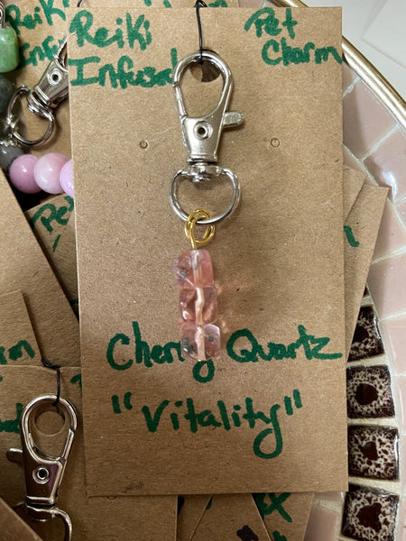 Reiki Infused Pet Charms By Crystal Mountain Healing