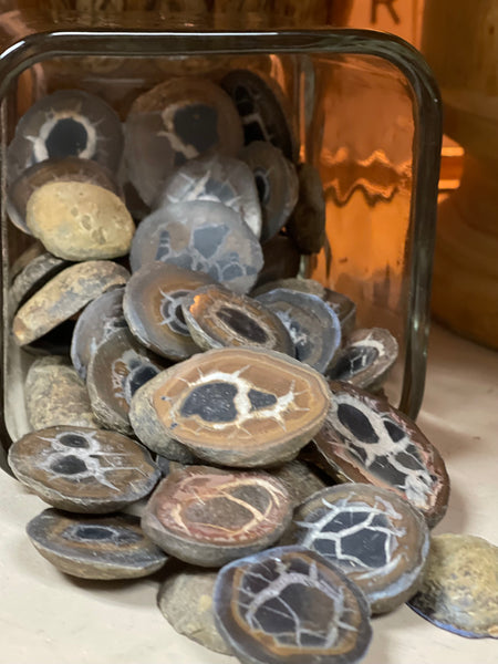 Septarian - Nodules Sliced
