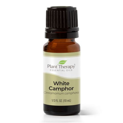 White Camphor Essential Oil 10 ml