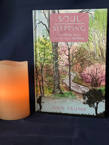 Soul Stepping Book