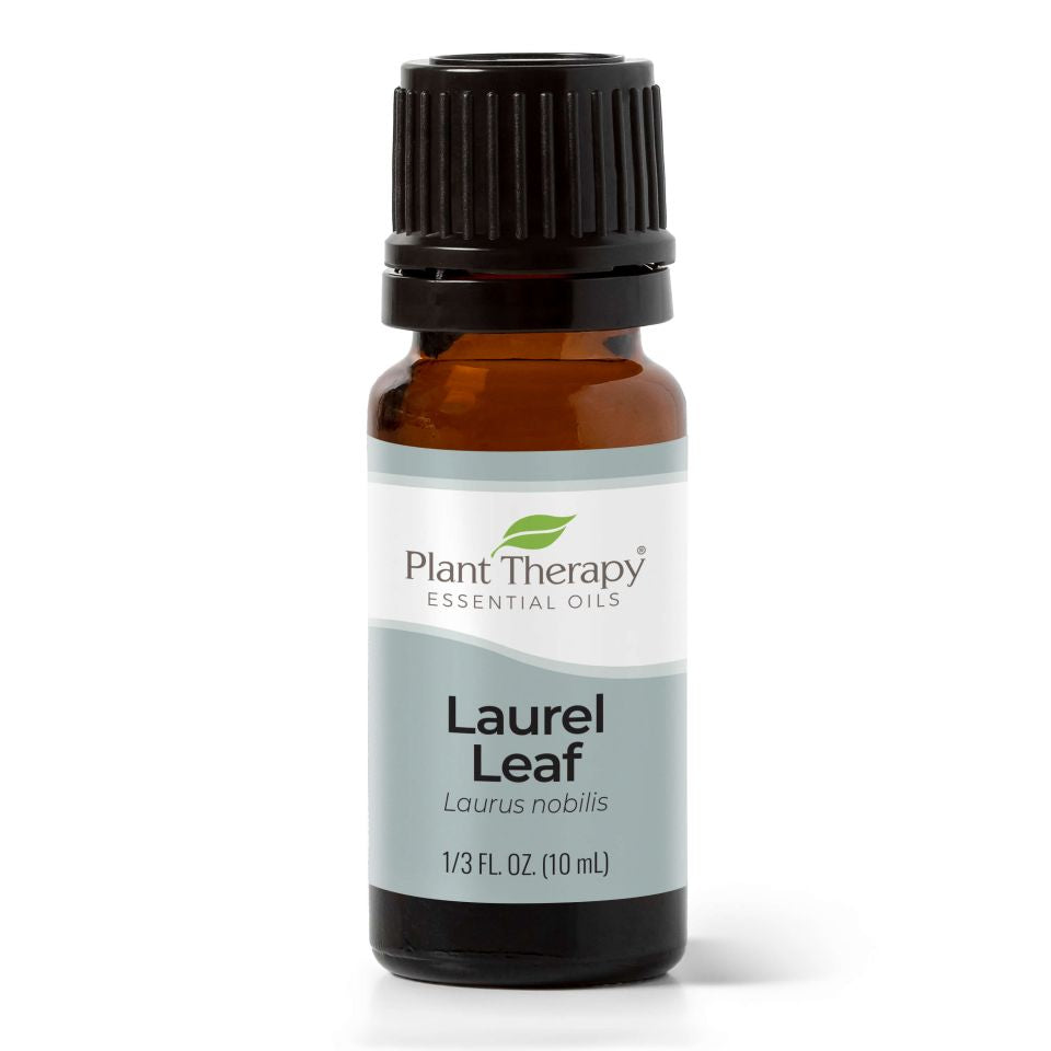 Laurel Leaf Essential Oil
10ml