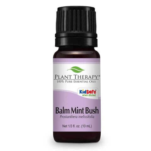 Balm Mint Bush Essential Oil 10ml - Tree Of Life Shoppe