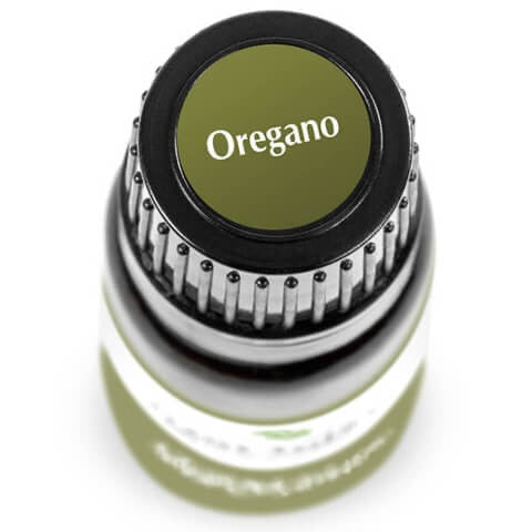 Oregano Essential Oil 10ml - Tree Of Life Shoppe